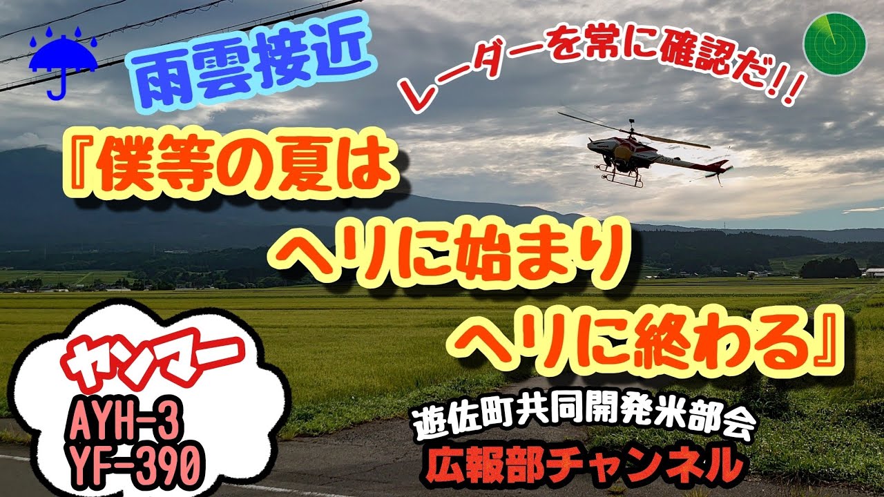 『僕等の夏は､ヘリに始まりヘリに終わる』~無人ヘリコプターで最後のカメムシ駆除~