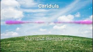 Rumput Bergoyang