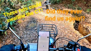 The Honda CT125 and the TW200 take on a trail they said we couldn't handle! Did the bikes survive?!