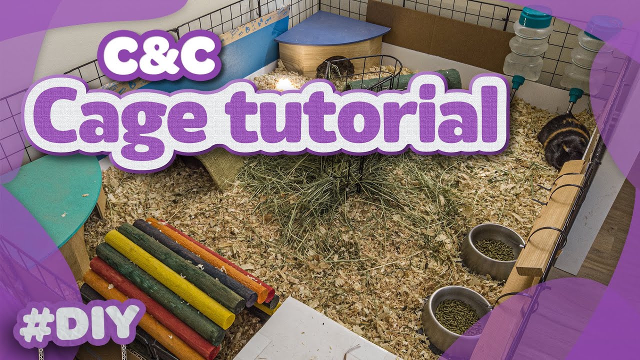 HOW TO BUILD A GUINEA PIG CAGE