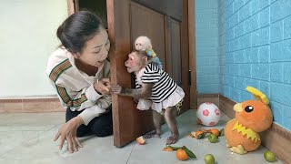 MiMi and baby monkey Su secretly eat fruit behind the door