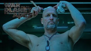 War for the Planet of the Apes | Look For It On Digital, Blu-ray & DVD | 20th Century FOX War for the Planet of the Apes | Look For It On Digital, Blu-ray & DVD | 20th Century FOX