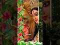 #new durga mata 4k whatsapp status video # mata ji status video mata ji status #durgaji#4kvideo