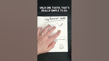 Why Good Behaviour Happens #productivity #students #medstudent