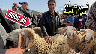 خروف العيد بثمن باهض بأكبر سوق في بني زروال