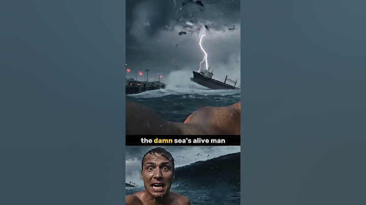 I survived a tsunami