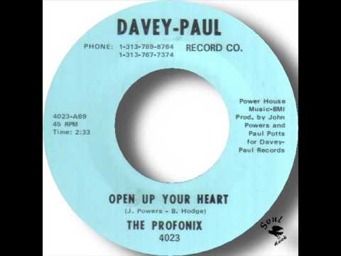 The Profonix   Open Up Your Heart