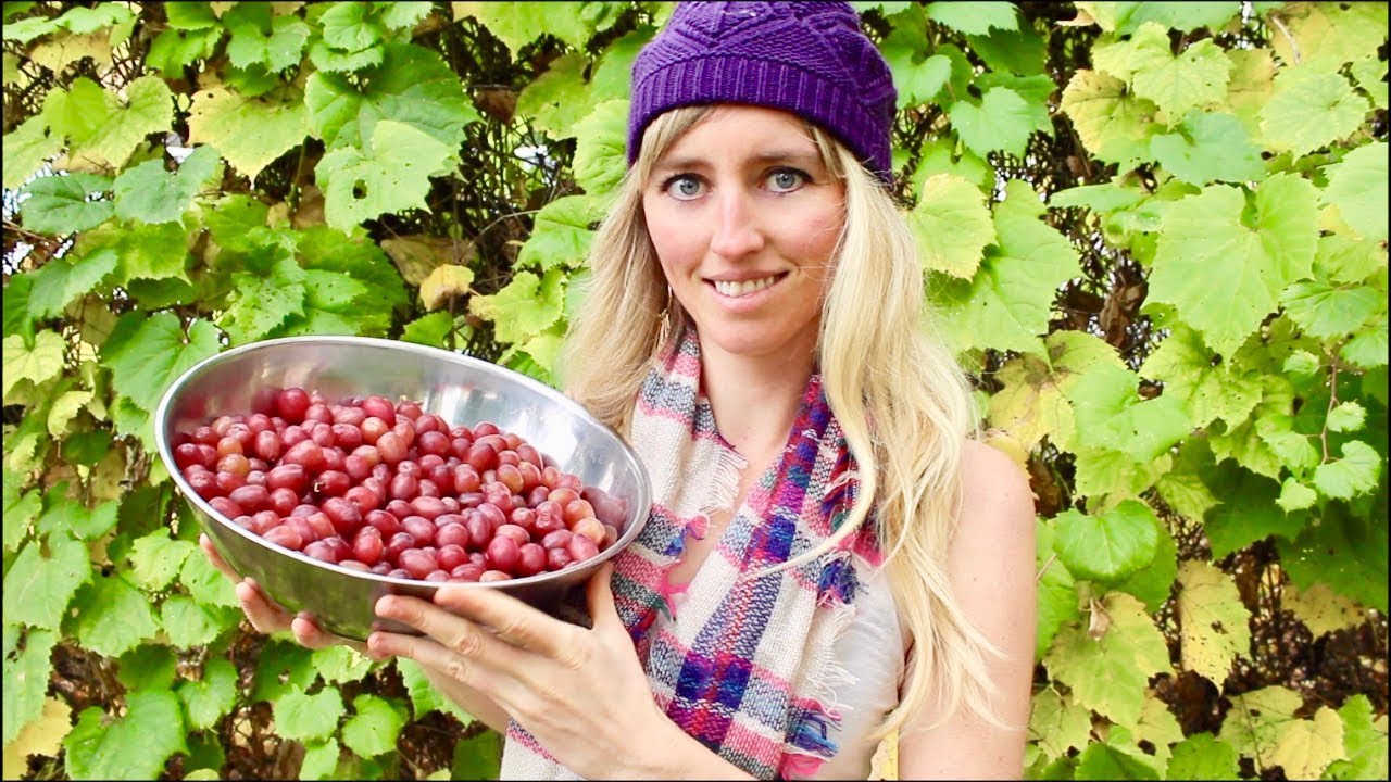 Natural Cure For Endometriosis And Fibroids Natural Cure For Endometriosis And Fibroids