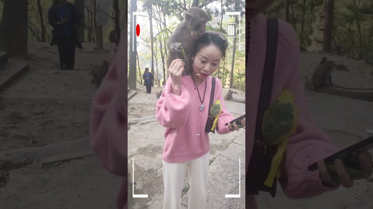 Funny Monkey | Monkey eating | Monkey play | Monkey show | SRKH Monkey