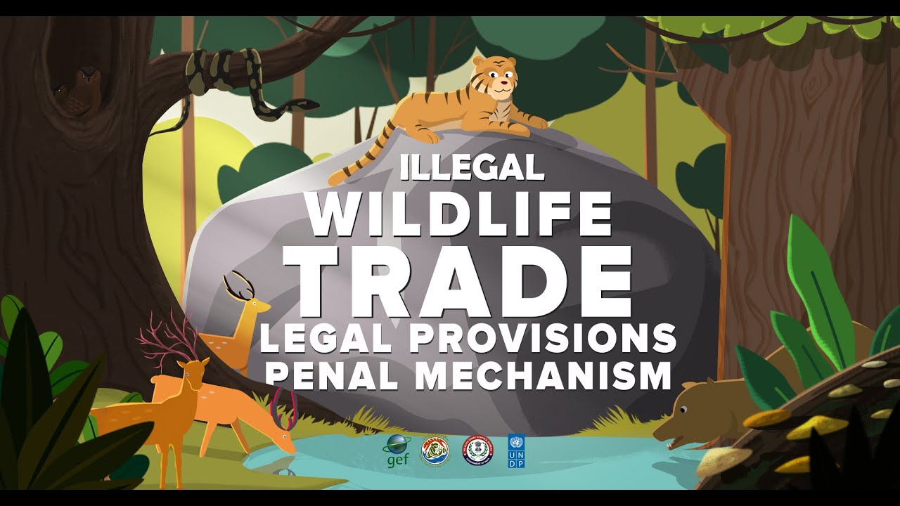 Wildlife Trade- Legal Provision and Penal Mechanism-Overview I UNDP I WCCB I MoEF&CC Wildlife Trade- Legal Provision and Penal Mechanism-Overview I UNDP I WCCB I MoEF&CC