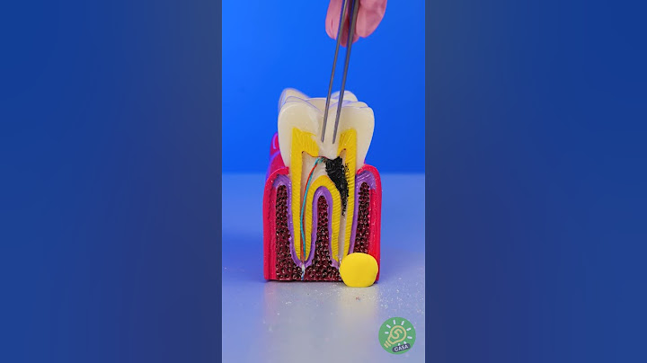 ¡Cuando la ciencia y el cuerpo hacen magia (o miedo)! 🧪
