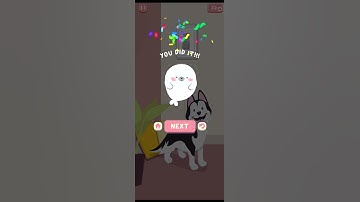 Sort It Right : Relax Puzzle | SatisGame Level 1 #fyp #like #gaming #gameplay #asmr #satisfying