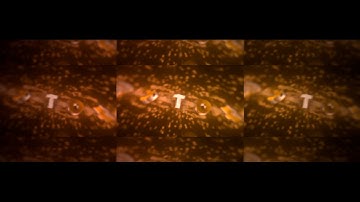 BBC Round 1 vs. Pytox V1 | SharpFX | Made in Stream c: