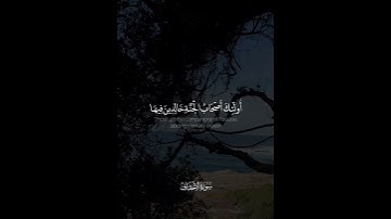 {إِنَّ الَّذِينَ قَالُوا رَبُّنَا اللَّهُ } القارئ فيصل الهاجري