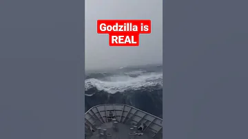 Godzilla Caught On Cam Shorts Godzillavskong Fypyoutube Fyp 