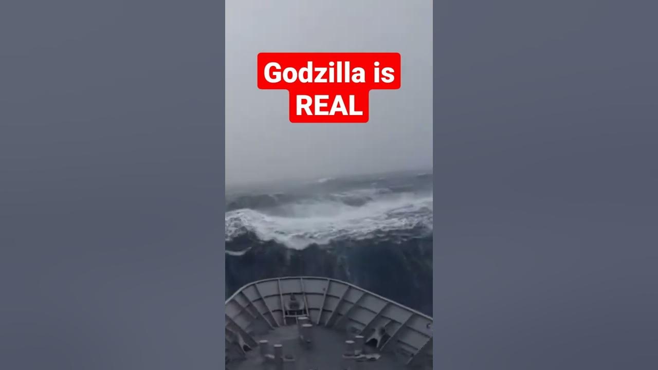 godzilla caught on cam #shorts #godzillavskong #fypyoutube #fyp godzilla caught on cam #shorts #godzillavskong #fypyoutube #fyp