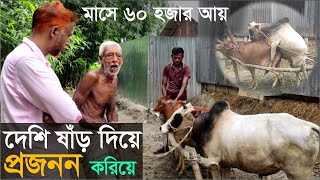 ৬০ হাজার টাকা মাসিক আয় শুধু গরু প্রজনন করে/গরু প্রজনন কেন্দ্র/Cow Matting/কৃষি বাড়ি/Krishi bari