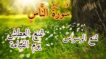 سورة الناس 😍 تمنع الوسواس 🥹 تمنع العطش يوم القيامة 🫣