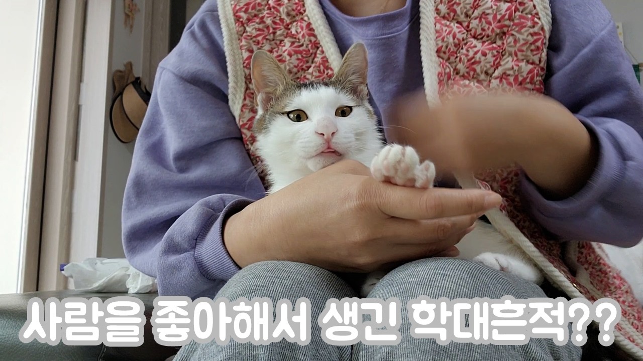 [#] 짱이의 충격적인 검사결과ㅣ그리고 안녕...🩷