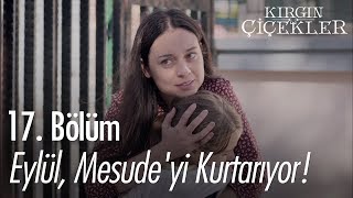 Eylül, Mesude'yi kurtarıyor! - Kırgın Çiçekler 17. Bölüm