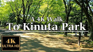 [ 4k Walk ] Yoga Station to Kinuta Park [Japan 日本 - 砧公園 ]