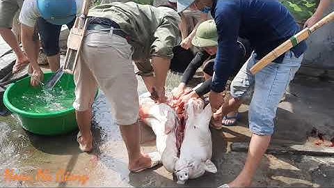 Đám Ma Dân tộc tày ở hoàng su phì