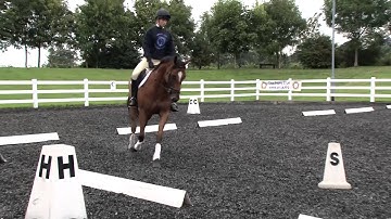 Riding Shallow Loops