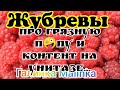 Жубревы Life Vlog /Про грязную п😀пу и контент на унитазе //Обзор Влогов //