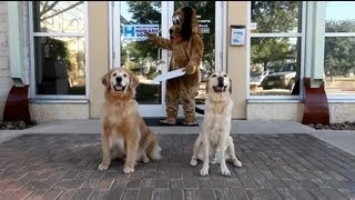 San Antonio Humane Society Tour