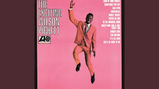 Video thumbnail of "Wilson Pickett - Something You Got"