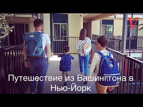 Видео: Та Вашингтон мужид завины даатгалтай байх ёстой юу?