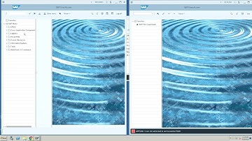 SAP Security Controls: Using Appsian to Apply Dynamic SAP Data Masking | Mask Any Field
