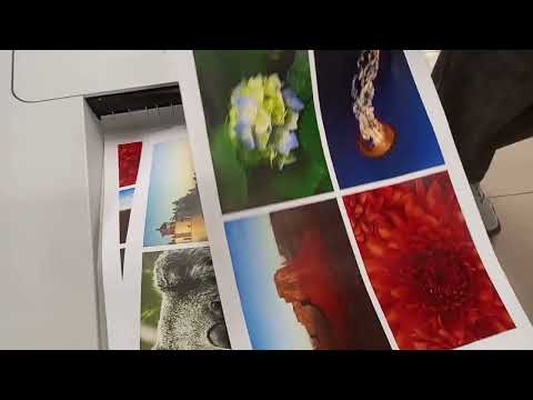 Tes Print HP Color Enterprise M750 A3 - Color | Harga murah Tes Print HP Color Enterprise M750 A3 - Color | Harga murah