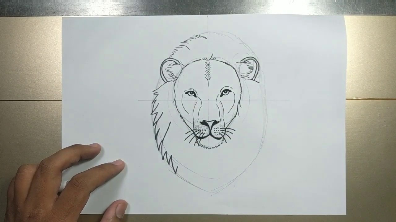 How to draw LION HEAD in step by step - YouTube