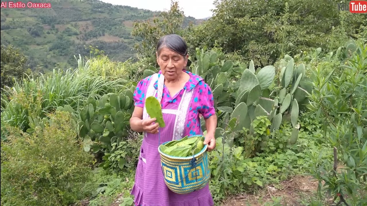 ✅️😃Preparo una deliciosa comida con nopales frescos del huerto