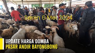 REVIEW HARGA DOMBA PASAR ANDIR BAYONGBONG GARUT SENIN 6 MEI 2024