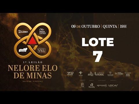 LOTE 7 FEGO 73