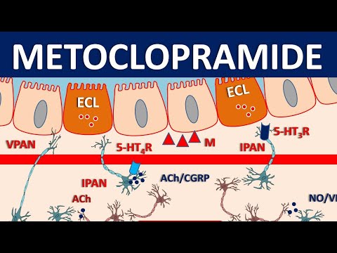 Metoclopramide - Mechanism, precautions, side effects & uses