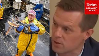 'Lobster Fishing Is The Backbone': Jared Golden Backs Extension Of Lobstering Regulation Moratorium