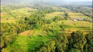 Instrumental Langgam Jawa