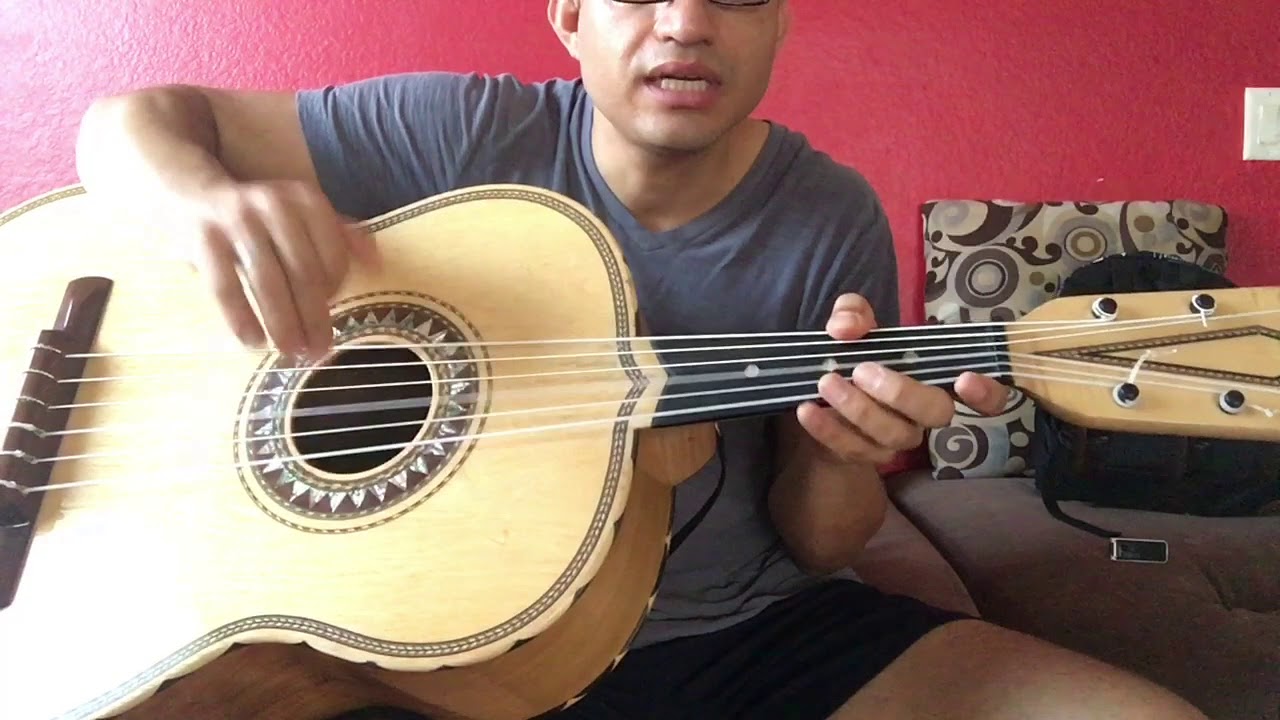 Guitarron La Fiesta Del Mariachi Vargas De Tecalitlan