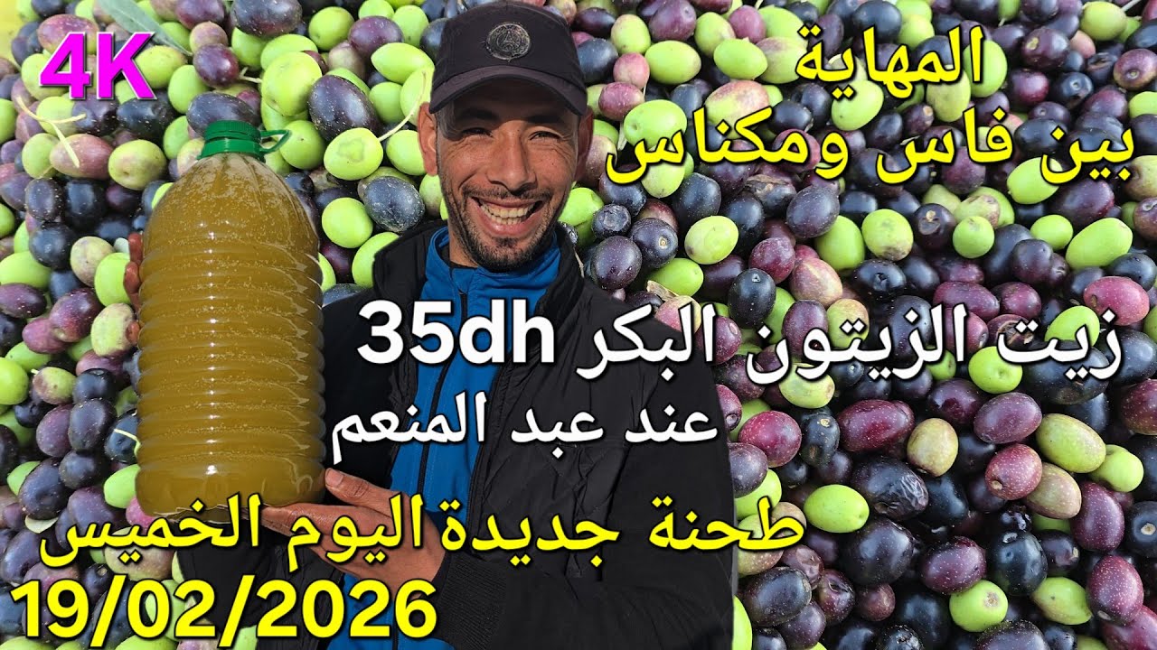 زيت الزيتون البكر الممتاز اليوم الخميس فاتح رمضان 1447