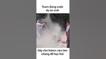 Khi sếp cho Intern tham gia Project để học hỏi #shortvideo #developer