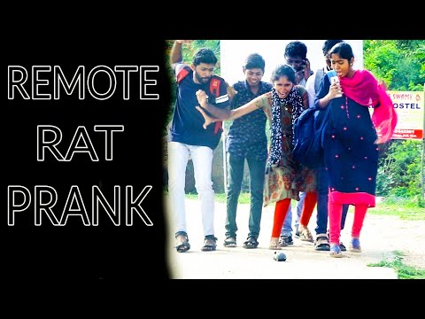 remote-control-rat-prank-l-dummy-rat-prank-l-pranks-in-india