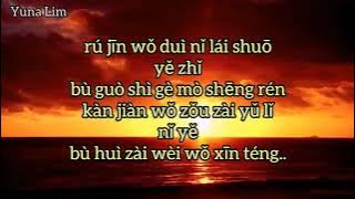 Ceng Jing Xin Tong 曾经心痛 (Pernah Sakit Hati) Xiao a Feng 小阿枫 Lyrics