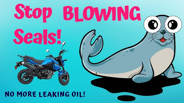 Motorcycle Leaking Oil? Your Oil Seals Under Pressure?