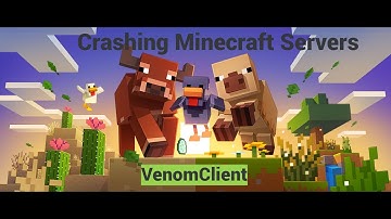 Crash Client 2025? Crashing Minecraft Servers