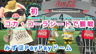 ⚾️みずほPayPayドーム コカ・コーラシート観戦 ソフトバンクホークス