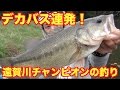 大会優勝者が釣る冬バス攻略方法！？