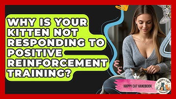 Why Is Your Kitten Not Responding To Positive Reinforcement Training? - Happy Cat Handbook